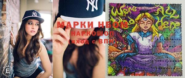 индика Алексин