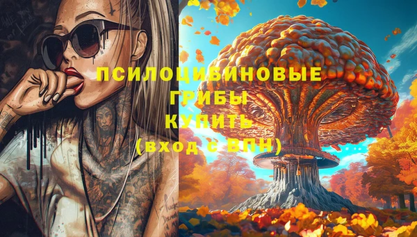 индика Алексин