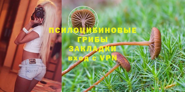 МДПВ Абдулино