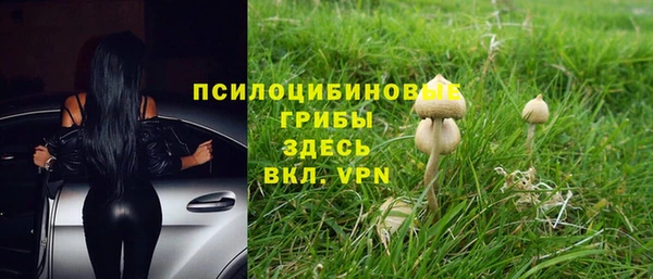 индика Алексин