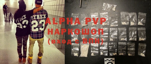 индика Алексин