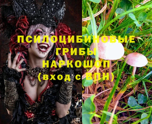 хмурый Алексеевка